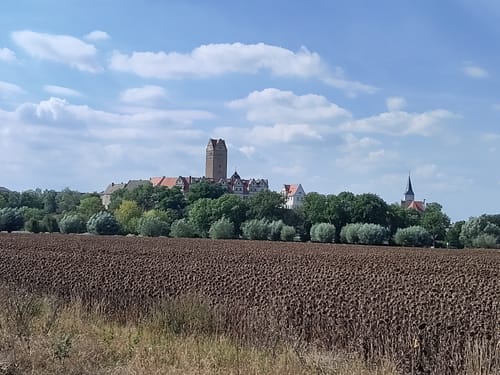 Bernburg Runde entlang der Saale