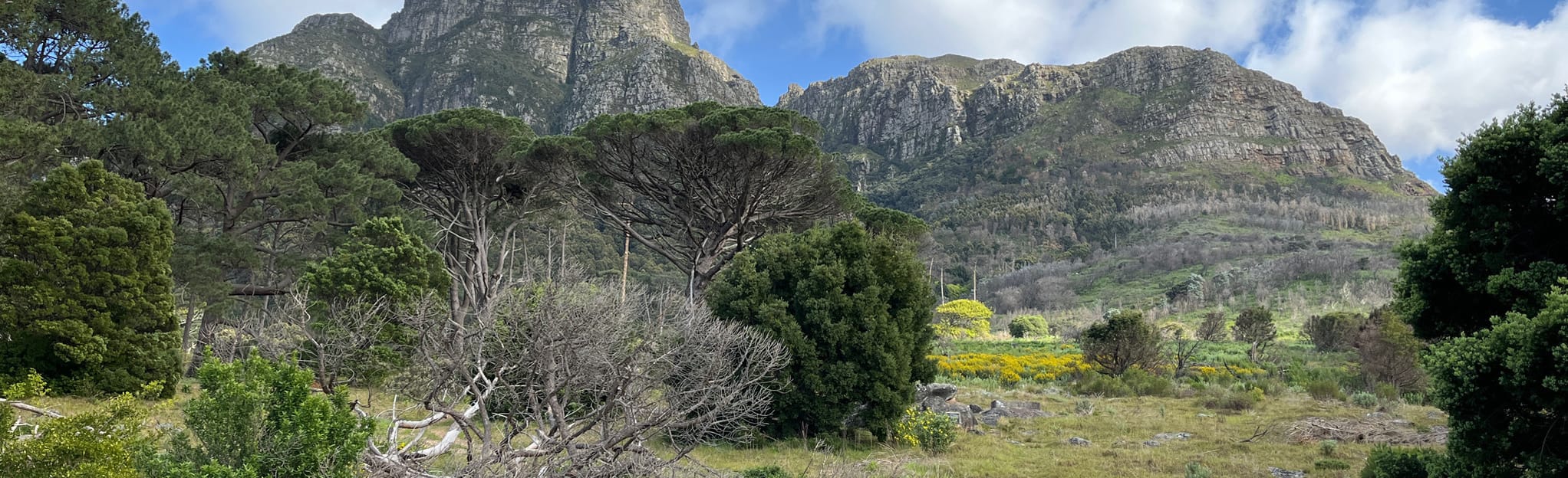 Devil's Peak and Knife's Edge, Western Cape, South Africa 10 Reviews