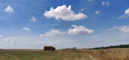 Halle (Saale): Dölauer Heide