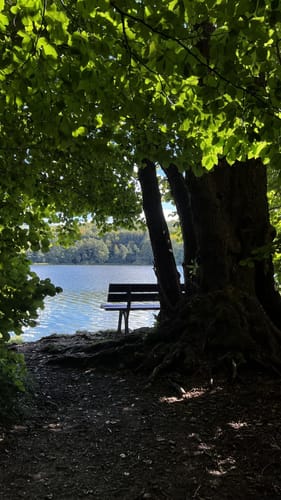 Rund um den Ukleisee