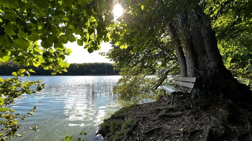 Rund um den Ukleisee