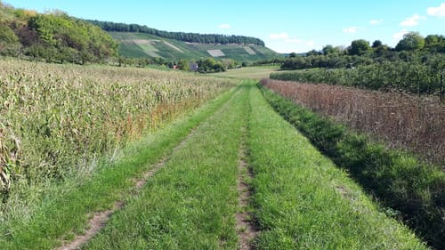 Zum Kayberg