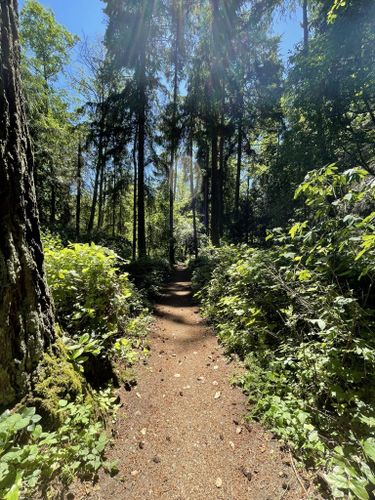 2023 Best Trail Running Trails in Dash Point State Park | AllTrails