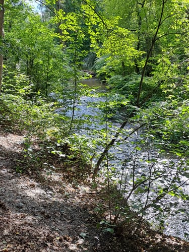 Triebischtal bei Blankenstein