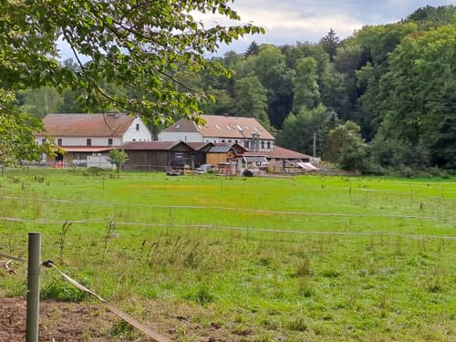 Triebischtal bei Blankenstein