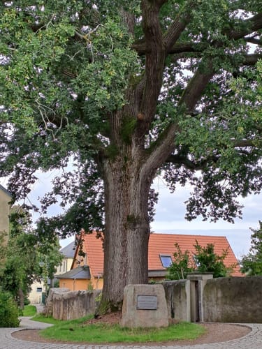 Triebischtal bei Blankenstein