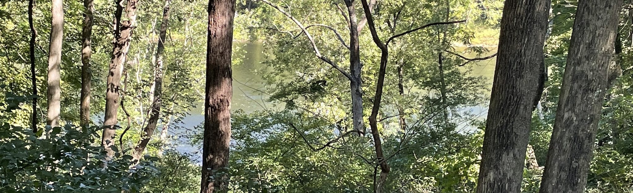 Hamilton Ridge, Pioneer and Orchard trails loop Map, Guide New