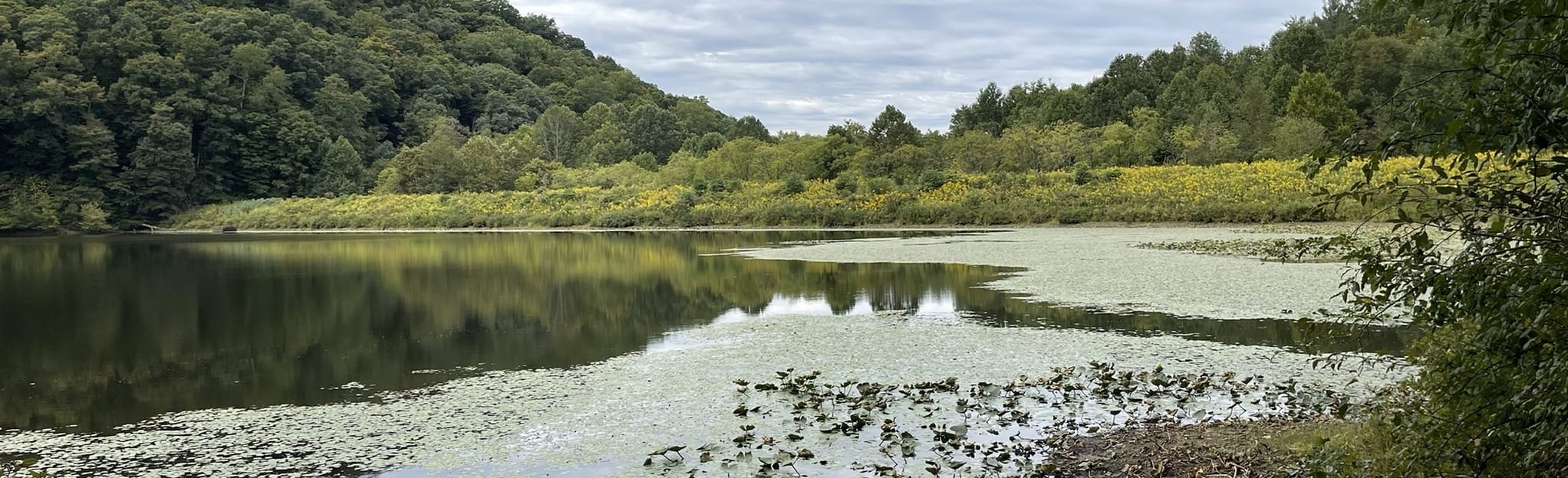 Knobstone Trail Loop from Spurgeon Hollow Trailhead, Indiana 129