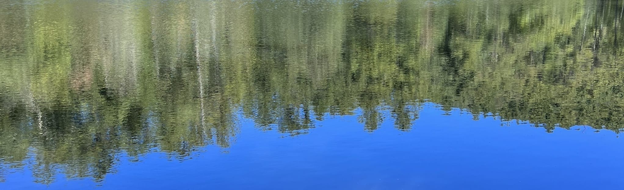 Skitty Creek, Cliffside, and Homesite Road Trail 20 Reviews, Map North Carolina AllTrails