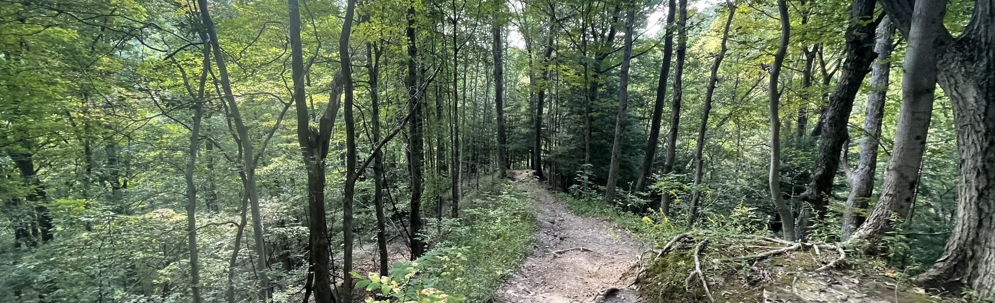 Valley Bridle Loop via Buckeye - EyJidWNrZXQiOiJhc3NldHMuYWxsdHJhaWxzLmNvbSIsImtleSI6InVwbG9hZHMvcGhvdG8vaW1hZ2UvNTIzMTQzOTAvYjc1MjRlNjk4NTQyM2ZmZWRiNTkzMmUyMWFlYzA1NmQuanBnIiwiZWRpdHMiOnsidG9Gb3JtYXQiOiJqcGVnIiwicmVzaXplIjp7IndpZHRoIjoyMDQ0LCJoZWlnaHQiOjYyNCwiZml0IjoiY292ZXIifSwicm90YXRlIjpudWxsLCJqcGVnIjp7InRyZWxsaXNRdWFudGlzYXRpb24iOnRydWUsIm92ZXJzaG9vdERlcmluZ2luZyI6dHJ1ZSwib3B0aW1pc2VTY2FucyI6dHJ1ZSwicXVhbnRpc2F0aW9uVGFibGUiOjN9fX0=