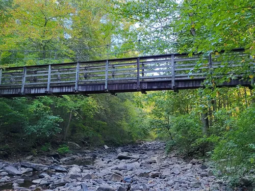 Best Bike Touring Trails in George - EyJidWNrZXQiOiJhc3NldHMuYWxsdHJhaWxzLmNvbSIsImtleSI6InVwbG9hZHMvcGhvdG8vaW1hZ2UvNTIzMTcwNDMvNzYyMGYyNTRmMTc3NDg2N2VmZDVhMDMxNzE0YzgyYzIuanBnIiwiZWRpdHMiOnsidG9Gb3JtYXQiOiJ3ZWJwIiwicmVzaXplIjp7IndpZHRoIjo1MDAsImhlaWdodCI6NTAwLCJmaXQiOiJpbnNpZGUifSwicm90YXRlIjpudWxsLCJqcGVnIjp7InRyZWxsaXNRdWFudGlzYXRpb24iOnRydWUsIm92ZXJzaG9vdERlcmluZ2luZyI6dHJ1ZSwib3B0aW1pc2VTY2FucyI6dHJ1ZSwicXVhbnRpc2F0aW9uVGFibGUiOjN9fX0=