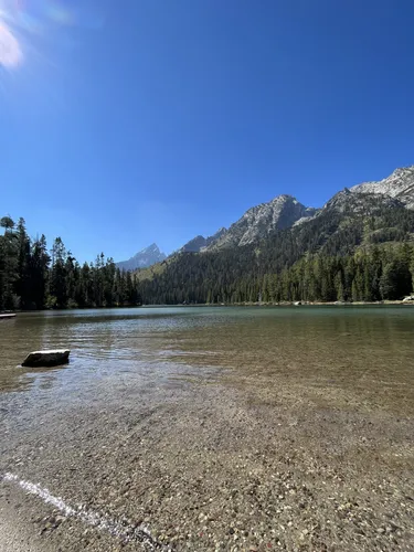 10 Best Easy Trails in Grand Teton National Park AllTrails