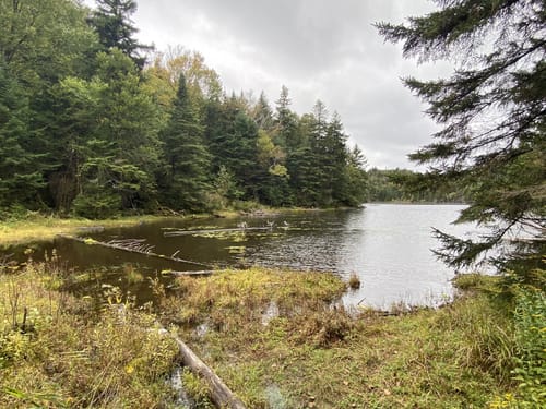 Best 10 Hikes and Trails in Parc d'environnement naturel de Sutton ...