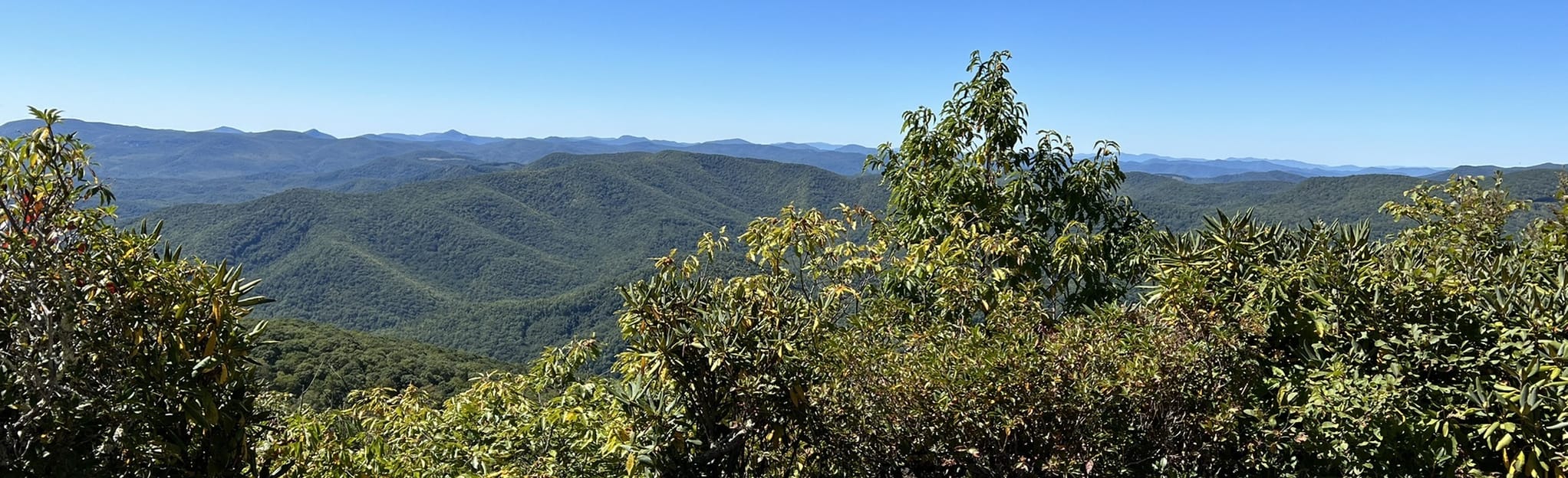 Art Loeb Trail, Farlow Gap Trail, and Daniel Ridge Loop Trail: 28 ...