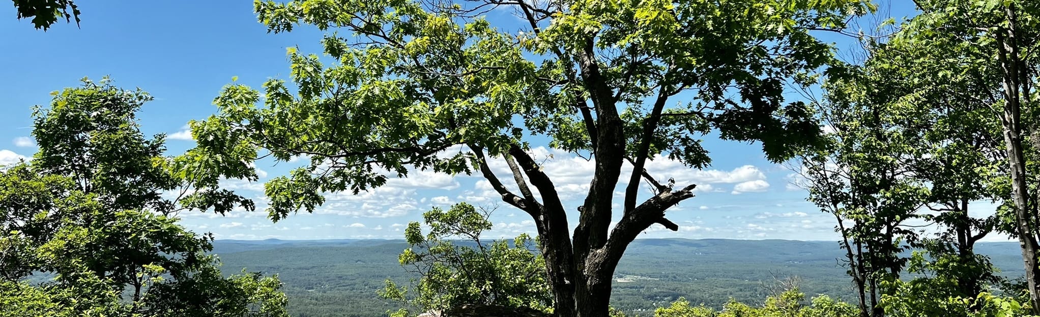 Mount Tom, Massachusetts 881 Reviews, Map AllTrails