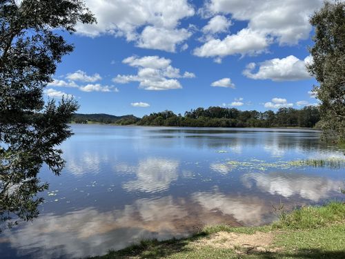 2023 Best Trail Running Trails In Tewantin National Park 