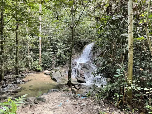 2023 Best Partially Paved Trails in Bukit Sungai Putih Forest Reserve ...