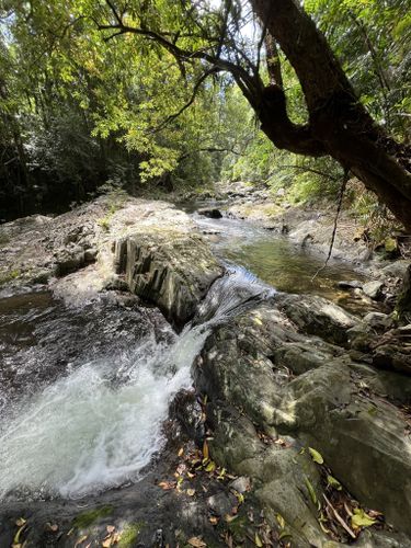 Best Hikes and Trails in Cedar Bay National Park | AllTrails