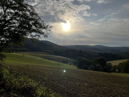 Rund um den Steinberg