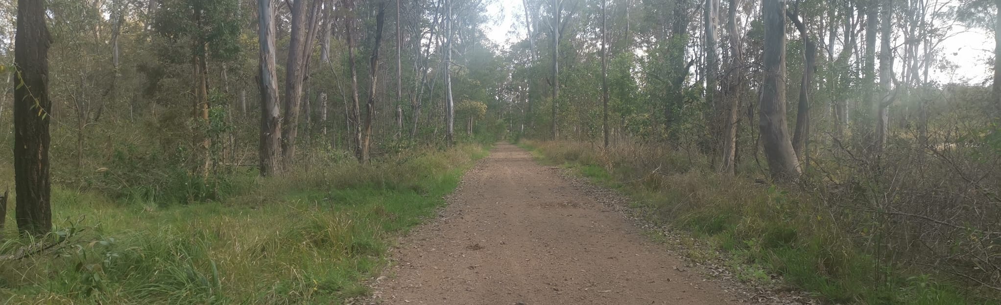 AllTrails McCallum Trail 6 Reviews, Map Queensland, Australia