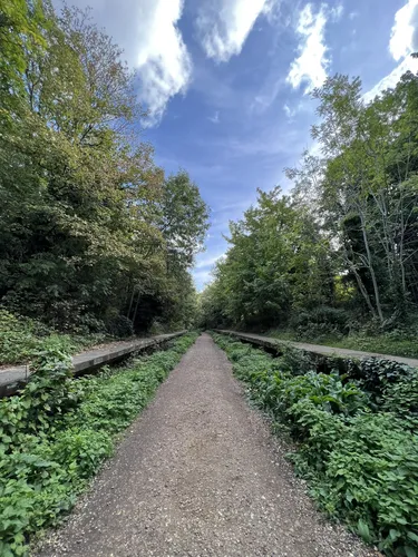 Paved paths near me new arrivals