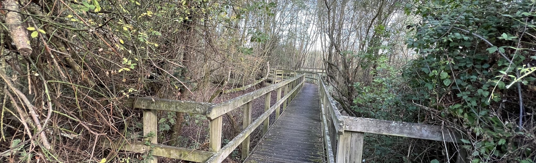 Linford Lakes Nature Reserve Circular 4 Fotos Buckinghamshire