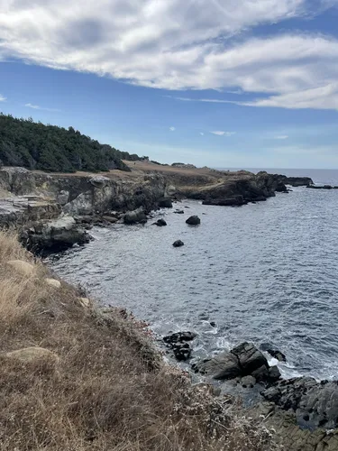 Los 10 mejores senderos y rutas en Salt Point State Park | AllTrails
