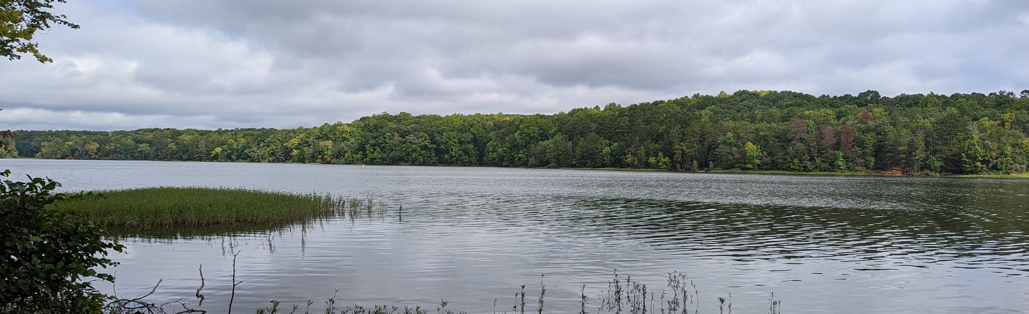 Hill, Shady, Cattail, Buzzard Rock, Laura's and Catawaba Loop 145