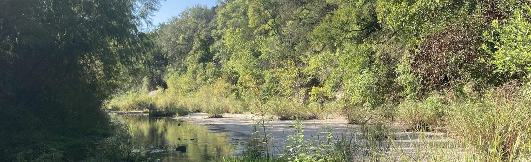 Bull Creek North Loop 539 Reviews, Map Texas AllTrails