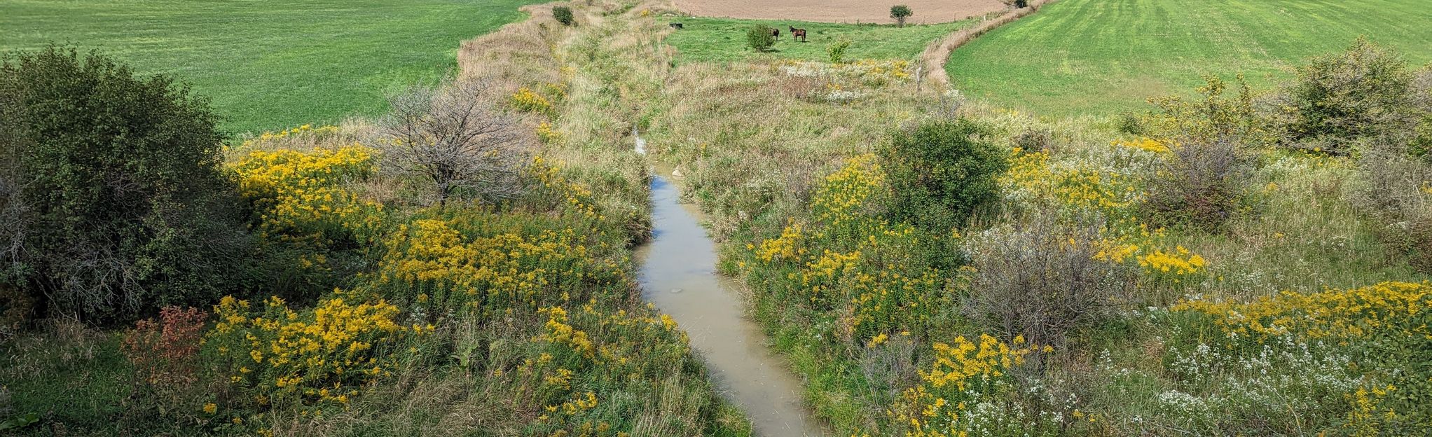 G2G Rail Trail Millbank to Wallenstein 51 Reviews, Map Ontario