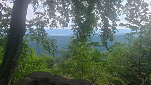 Best 10 Hikes and Trails in Bald Eagle State Forest | AllTrails