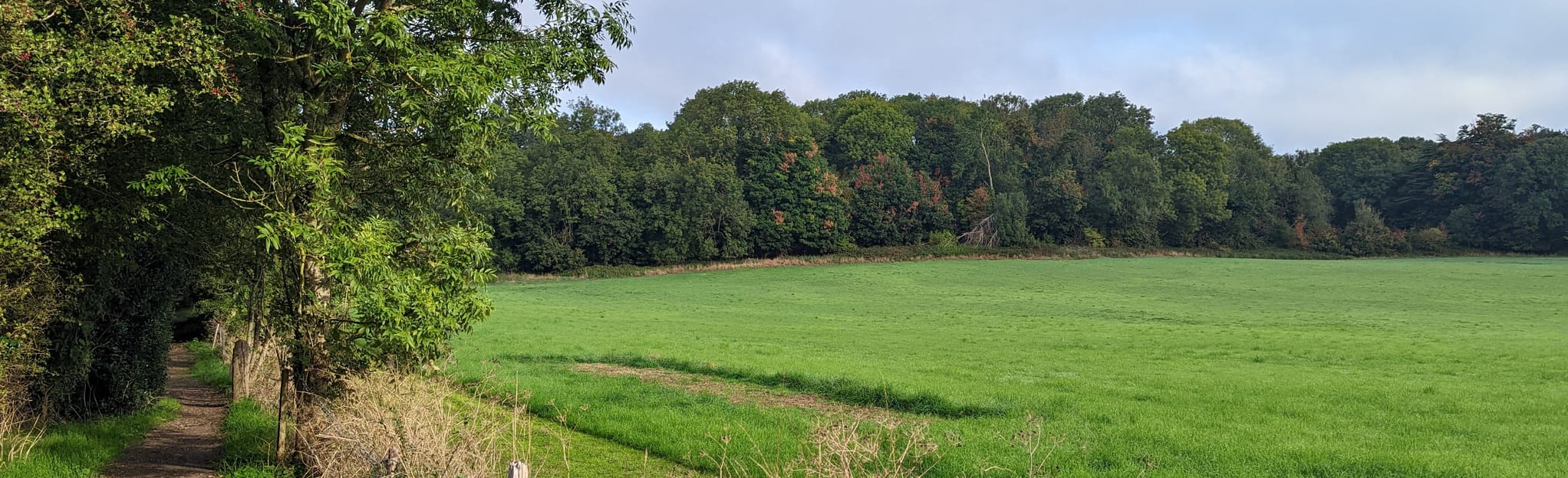 Hayes to Knockholt, London, England 8 Reviews, Map AllTrails