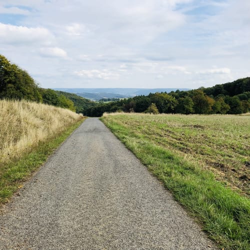 Rundweg Gunzenbach - Hahnenkamm
