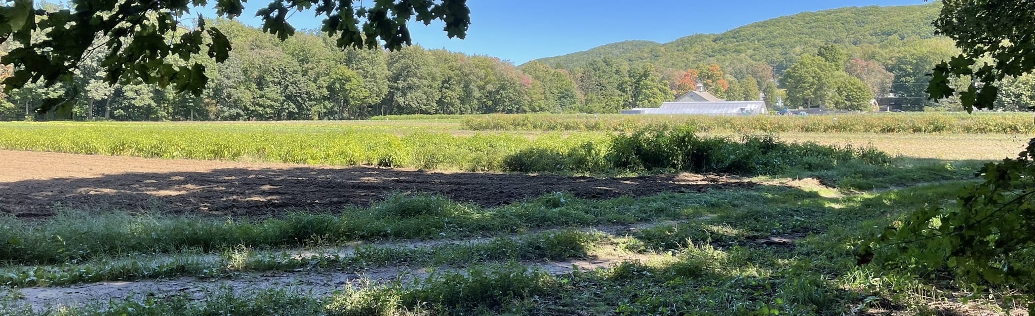 Brickyard Trail Loop 29 Reviews, 10 Photos, Map Massachusetts