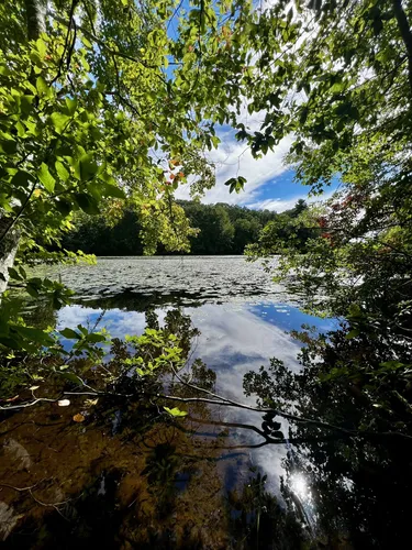 Timberland 2024 river trail