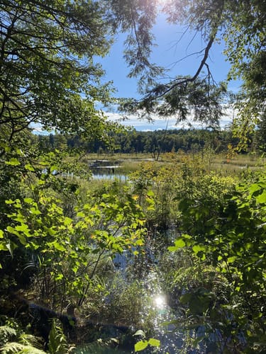 Best Hikes and Trails in Harrisville AllTrails