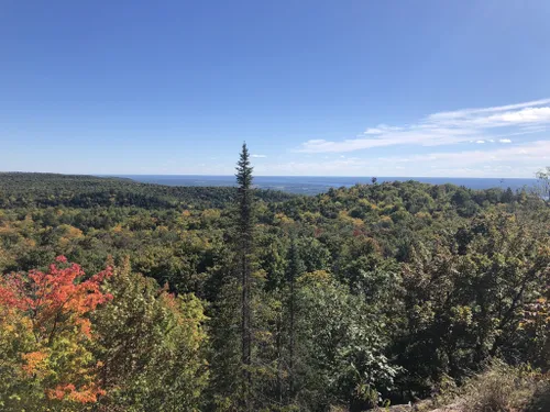 is gatineau park dog friendly