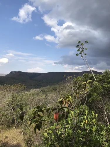 The Best Trails in Ôlho d'Água, Estado de Goiás (Brazil)