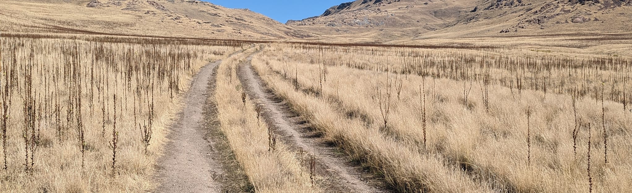 Split Rock Loop Trail 83 Reviews, Map Utah AllTrails