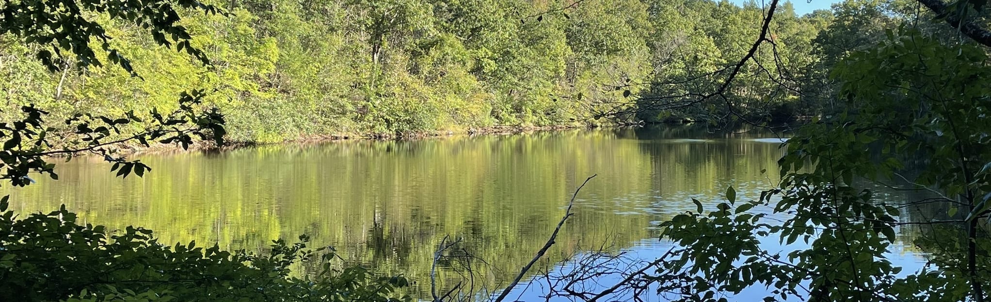 Devil's Den Preserve Trail: 523 Reviews, Map - Connecticut | AllTrails