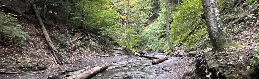 Eternal Flame Falls, New York, Upstate, NY, USA, Travel, Unique