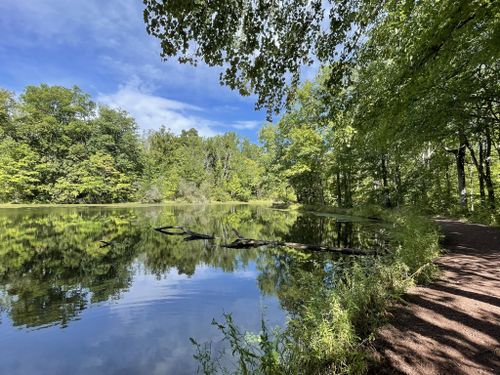 Best 10 Hikes and Trails in Nockamixon State Park | AllTrails