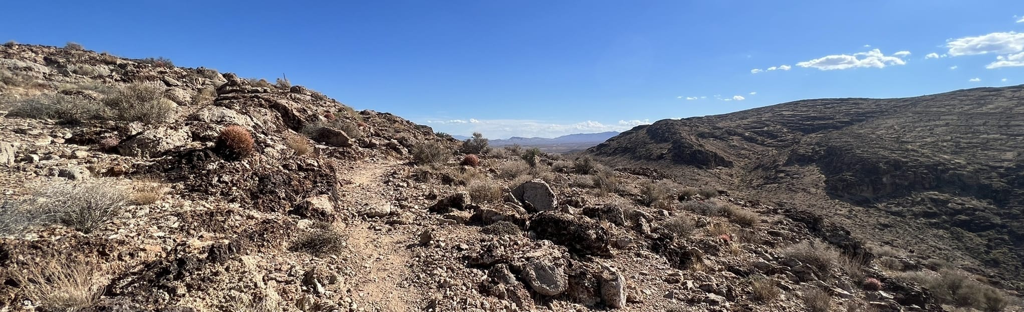 Gunsight Ridge Trail 460 Reviews, Map Nevada AllTrails