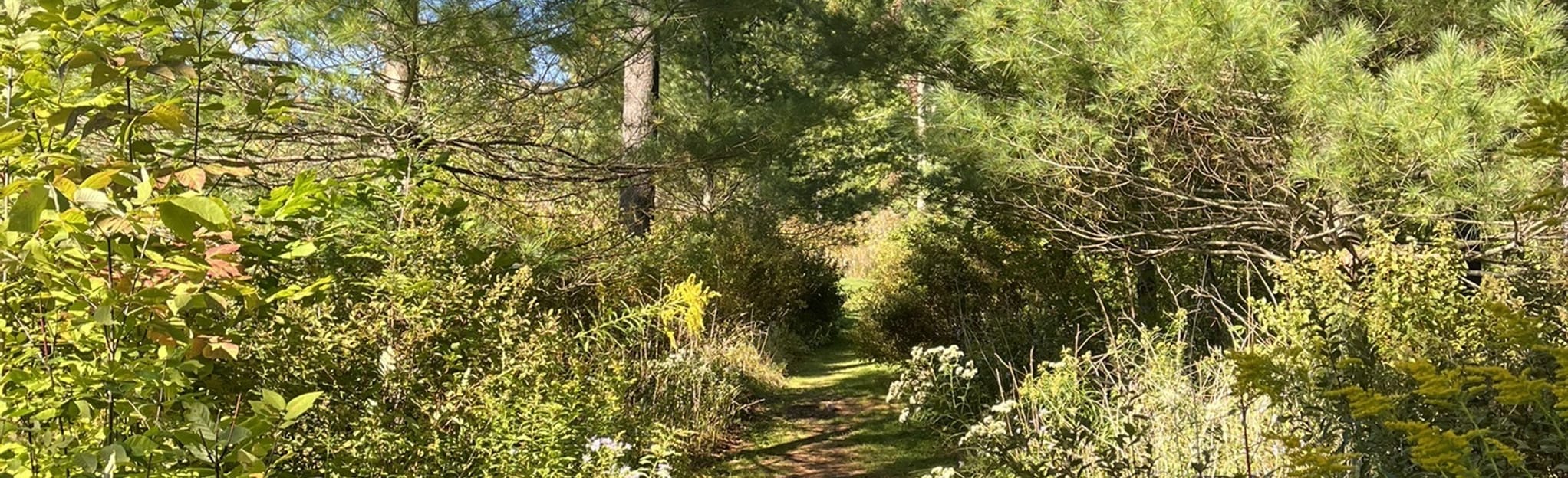 Mountain Top Arboretum Loop 306 Reviews, Map New York AllTrails