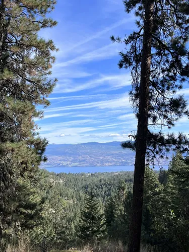 10 Best Trails And Hikes In West Kelowna | AllTrails