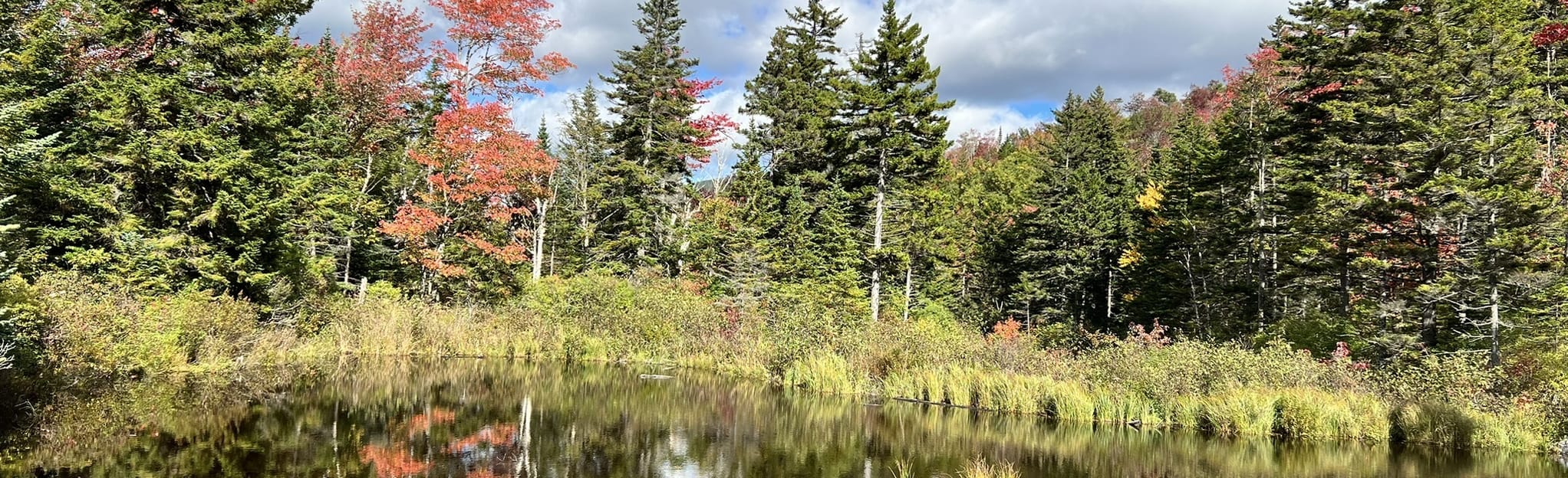 Mount Willey, Mount Field, Mount Tom and Ethan Pond Loop, New Hampshire