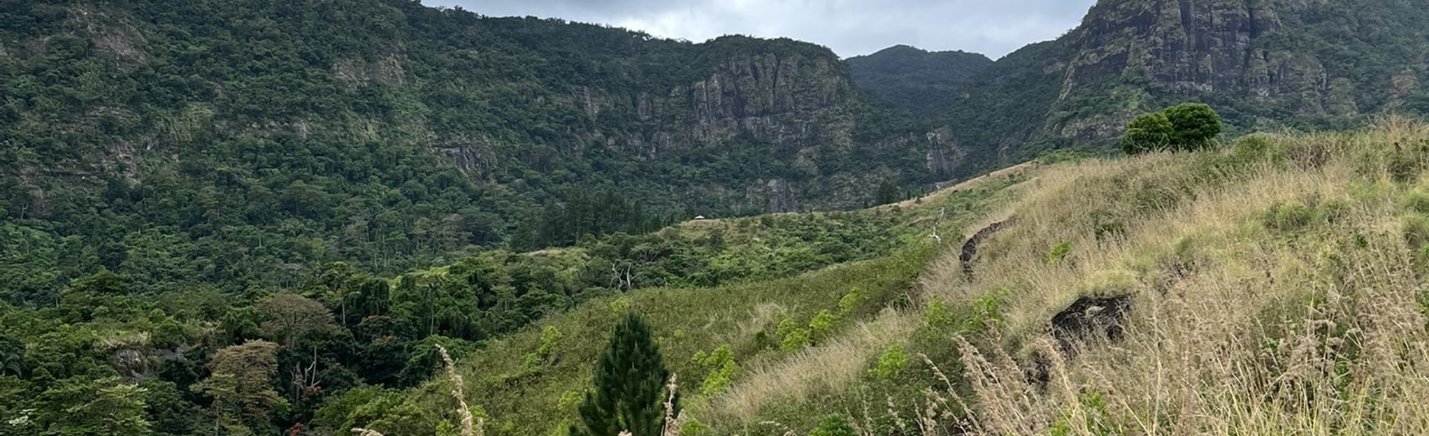 Mount Batilamu Lodge 12 Reviews, Map Western, Fiji AllTrails