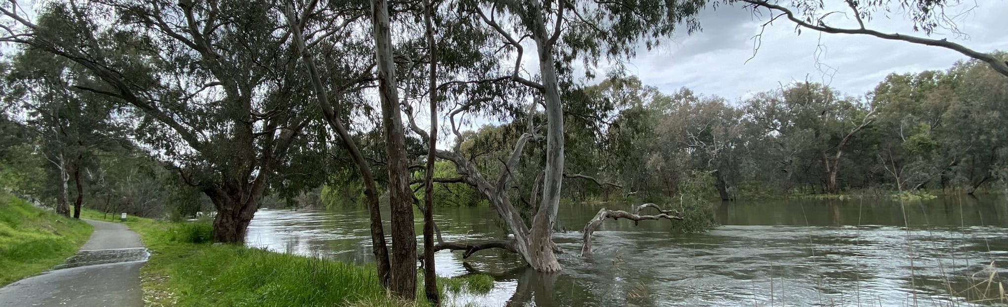 Nail Can Hill, Monument Hill, and West Albury Trail 10 Reviews, Map