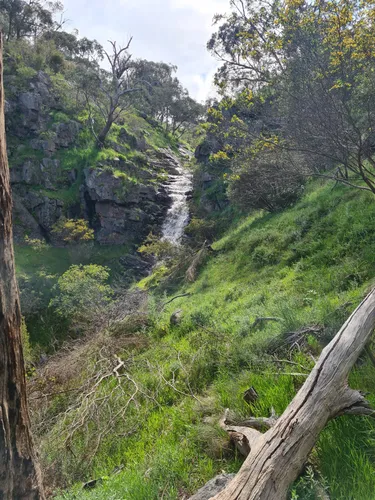 10 Best Hikes and Trails in Warby-Ovens National Park | AllTrails