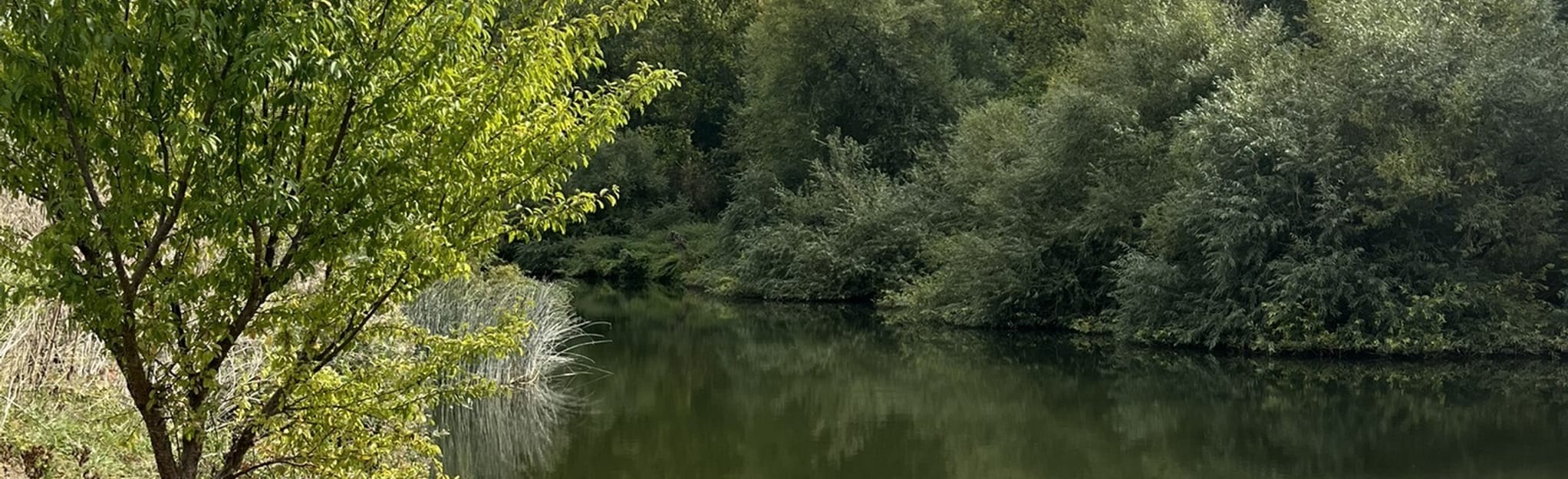 Dorchester on Thames, Wittenham Clumps and Saxon House Oxfordshire